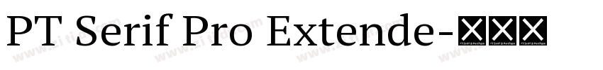 PT Serif Pro Extende字体转换